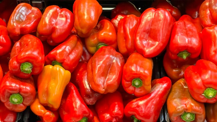 Gastro SER (15/09/2024)