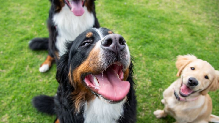 Entrevista con Rasa María Medina, concejala de Fomento y Desarrollo Local del Ayuntamiento de Lorca.