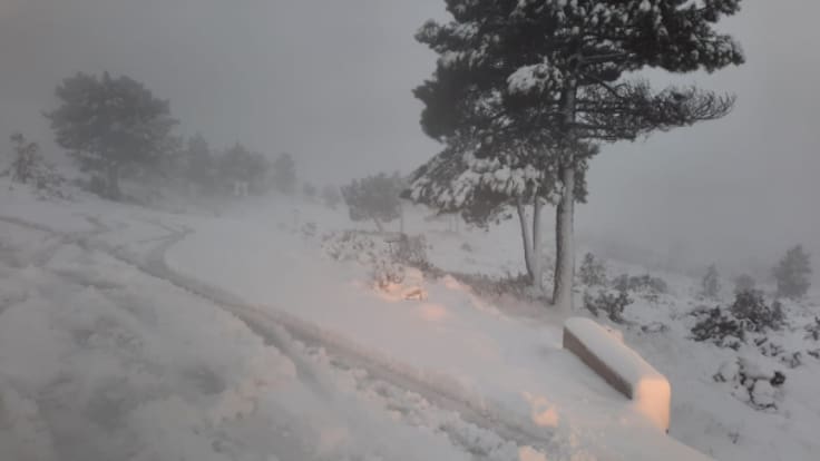 Pronóstico del tiempo para hoy por Lluís Francés