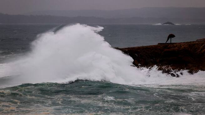 Se va Herminia, llega Ivo