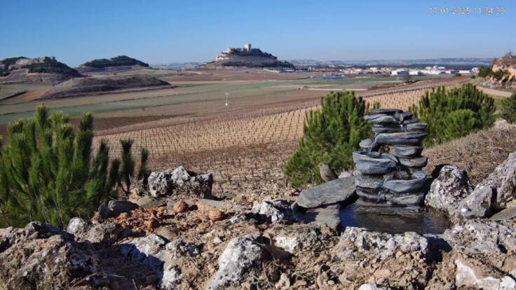 Un documental en directo para conocer la fauna de Peñafiel y su comarca