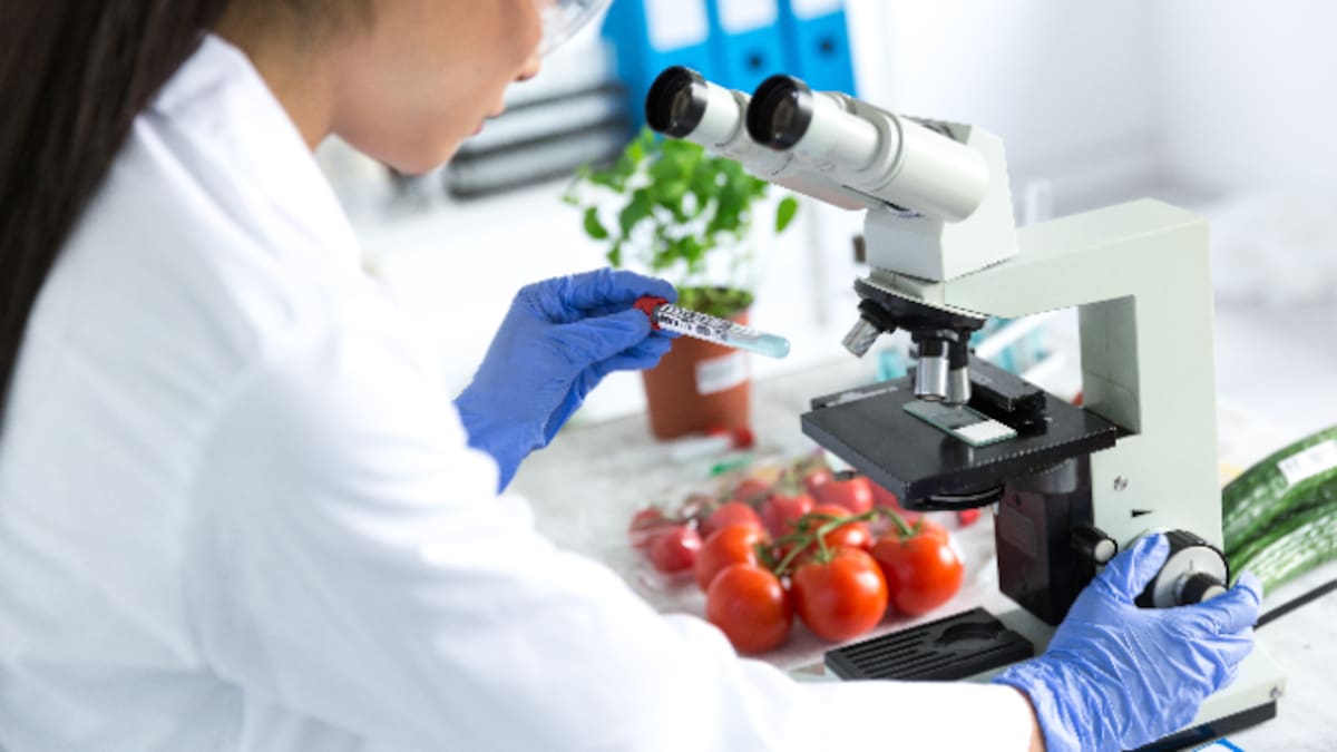 'Lo más importante en la seguridad alimentaria es garantizar el límite máximo de residuos'