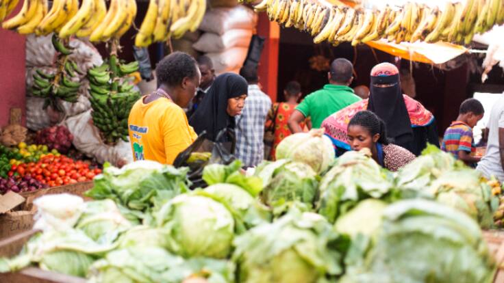 La ong valenciana One Day Yes organiza una jornada de sensibilización sobre nutrición infantil
