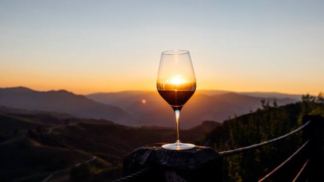 Vi La Llavor: Vins criats en altura