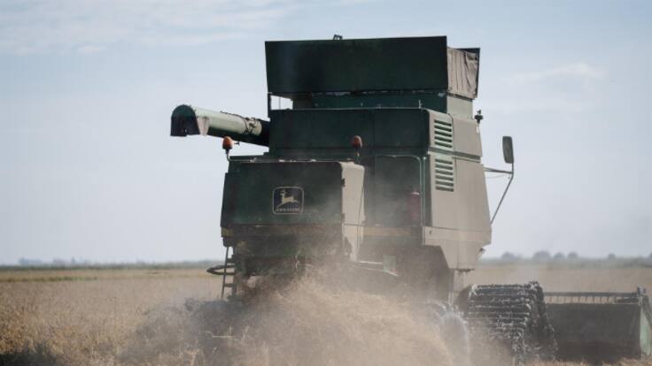 Arroceros sevillanos prevén alcanzar las 350.000 toneladas, cifra a la que no llegan desde 2020, y tener "un buen precio"