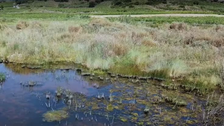 Amigos de la Tierra quiere recuperar la laguna de Huércanos