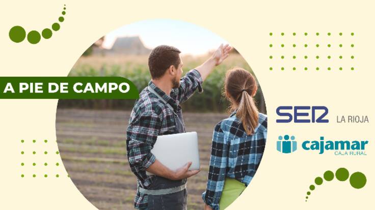 'A pie de campo': cómo combatir los insectos en el cultivo sin usar químicos