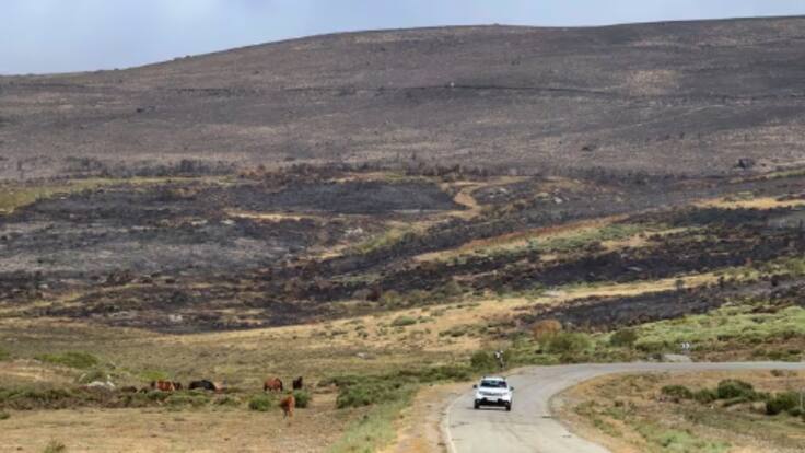 Expertos de la USAL estiman en 14.500 hectáreas la superficie quemada en el incendio de Porto
