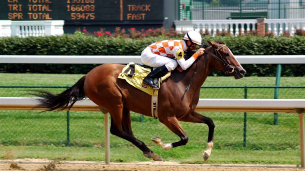 "Hay jockeys que dejan de comer y beber para competir": el control extremo del peso en la hípica