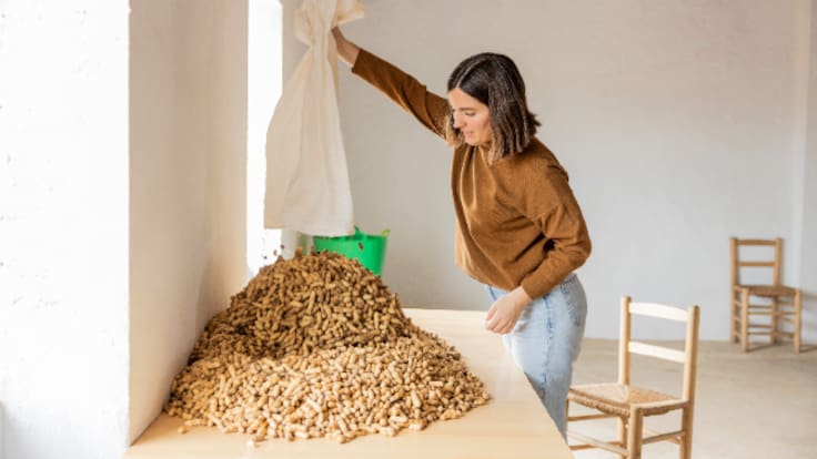 La Llavor (01/11/2025)