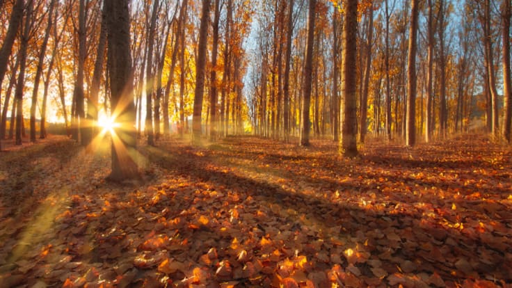 Meteorología Leonesa: Llegó el frío; sin apenas rastro del agua (04/11/2025)