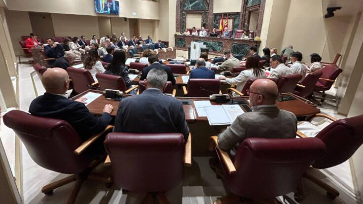 Tren de voces sobre control al Gobierno