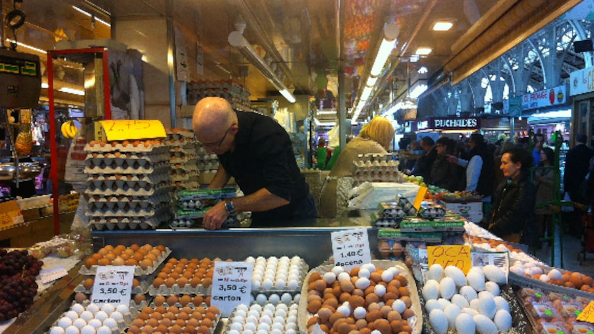 ¿Qué tipo de huevo deberías comprar? Así se diferencian los camperos, ecológicos e industriales