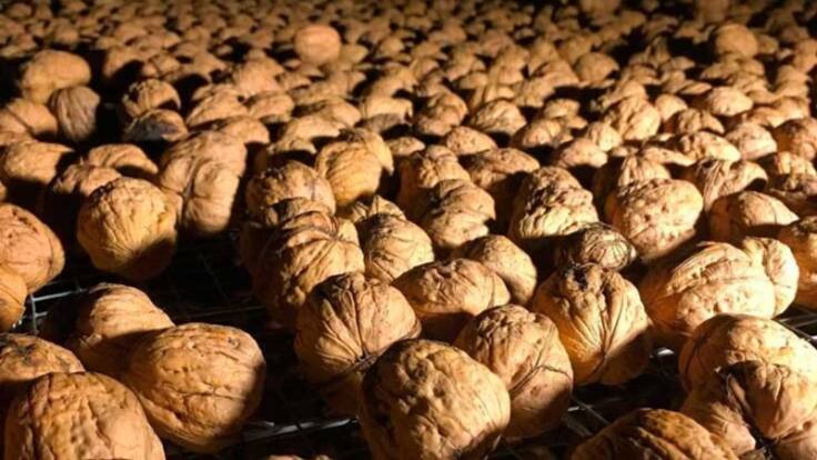 Pedroso rinde homenaje a su producto estrella