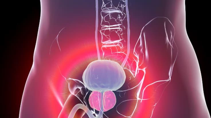 Hoy por Hoy Zaragoza y la ciencia (12/11/25)