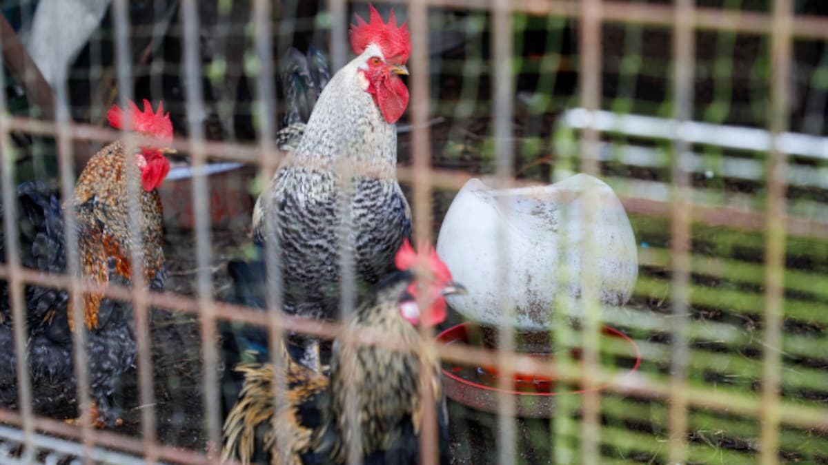 Roberto García, secretario xeral de Unions Agrarias