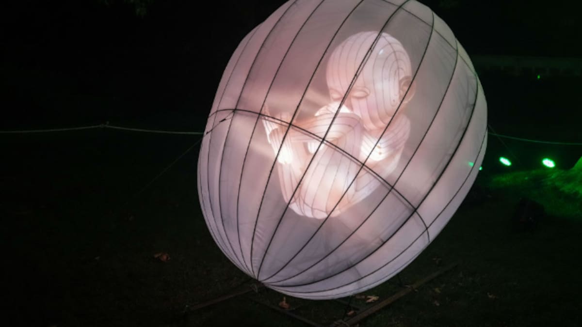 El útero artificial que podría salvar bebés prematuros