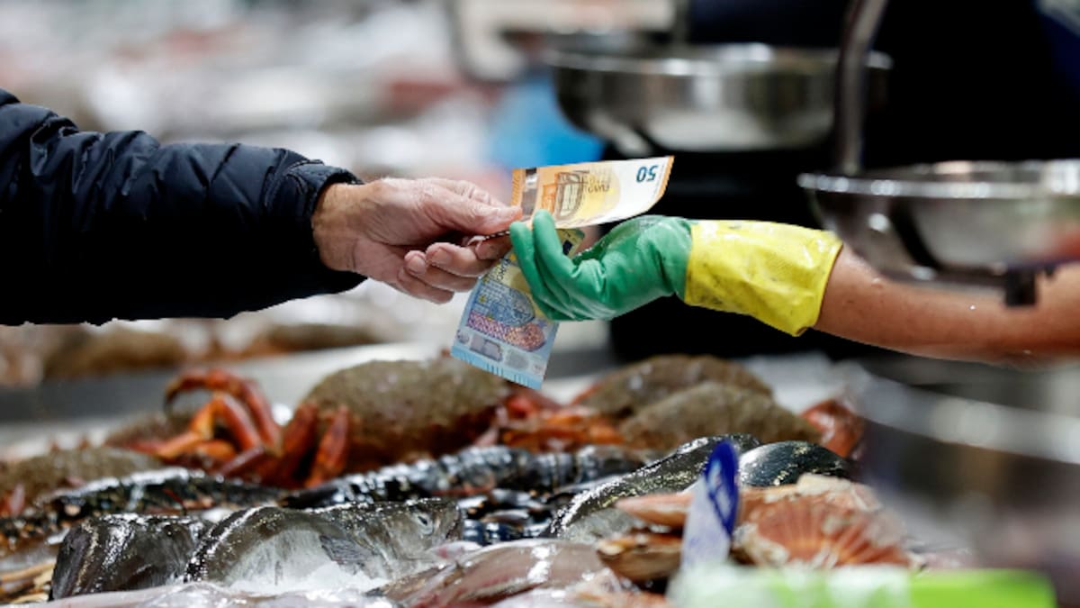 Despensa Sonora: consejos para comprar y congelar pescado y marisco