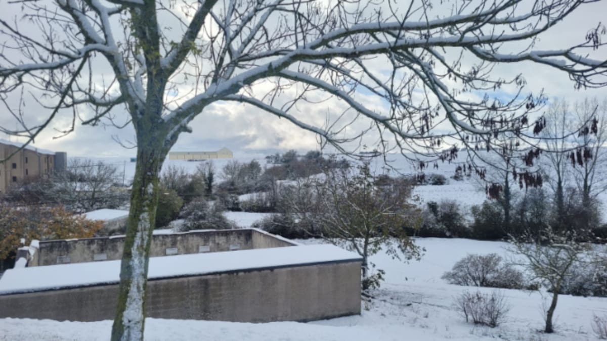 Los Concejos de Álava celebran sus elecciones