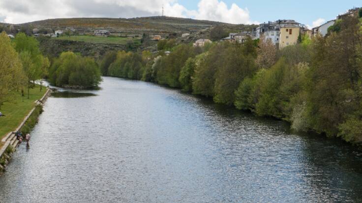 Por qué la lluvia está tiñendo de negro los ríos en las zonas quemadas y cómo complica la recuperación de los bosques