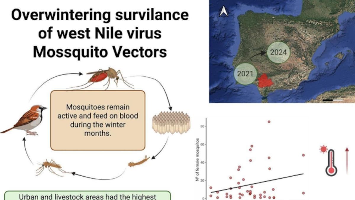 Sergio Magallanes - cuadras y alcantarillas -
