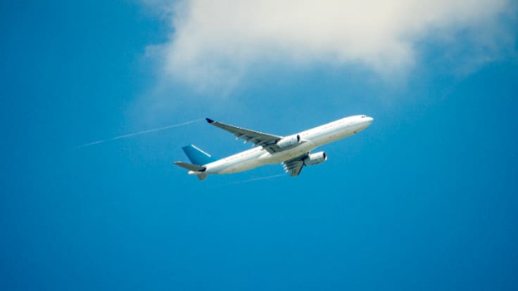 Els aviadors poden pilotar qualsevol mena d'avió?