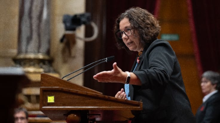 Els comuns desvinculen els pressupostos de la prohibició de la compra especulativa