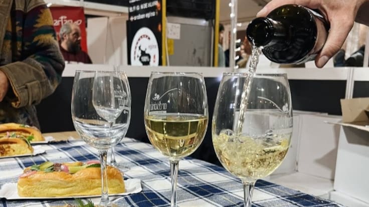 Ser Viajeros: Vitoria se vuelve a convertir en la capital del vino con Ardoaraba