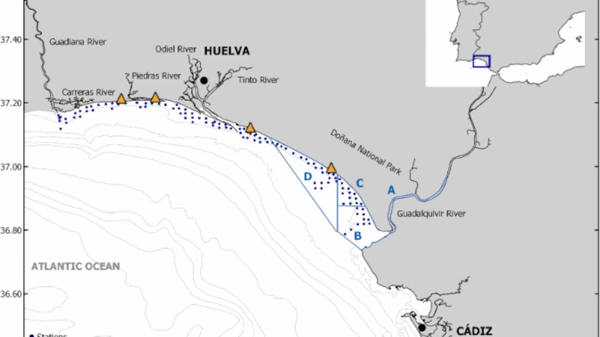 MARINA DELGADO - estudio basal -