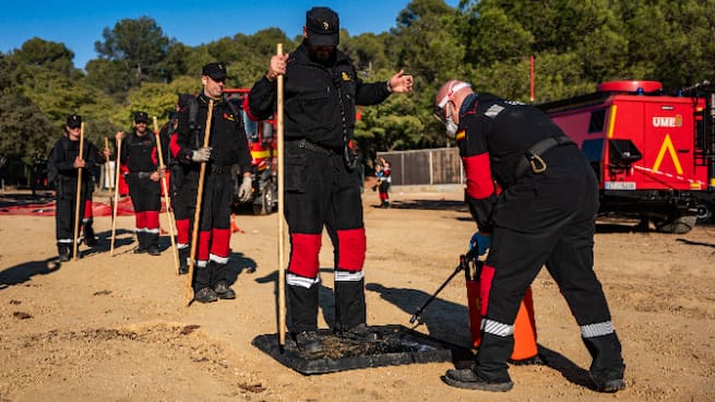 Por qué está completamente justificado el nivel de alarma en torno a la peste porcina: "Tiene una mortalidad del 100%"