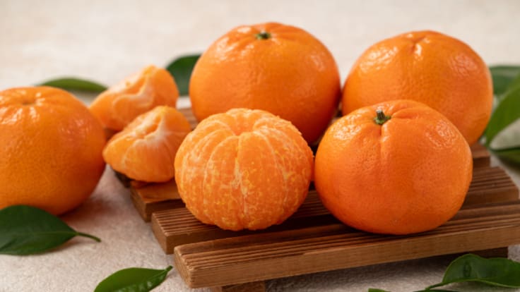 La Llavor (06/12/2025)