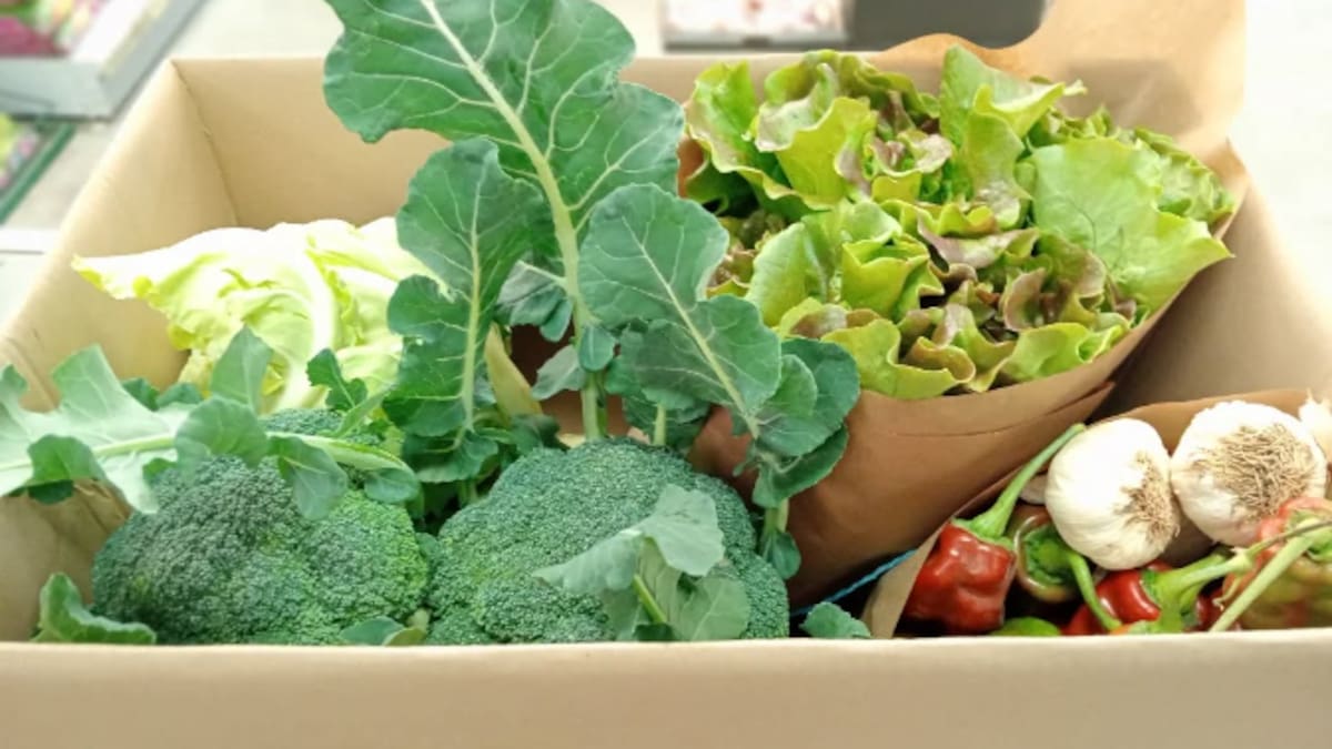 Jorge Guiral, desde Huerta Barbereta