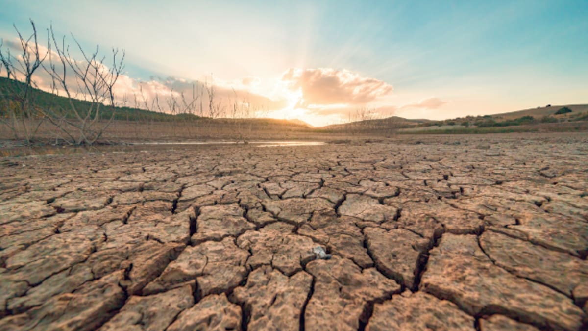 León, hacia rutas salvajes: Realidades y mitos sobre el cambio climático y su impacto sobre las nevadas en León (09/12/2025)