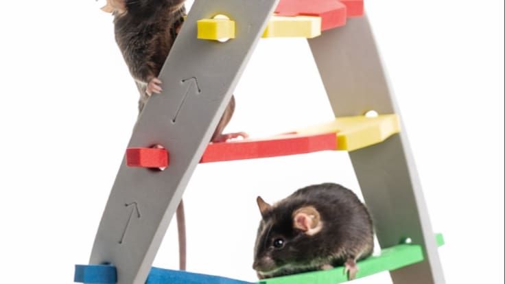 El científico Ángel Barco en A Vivir Comunitat Valenciana