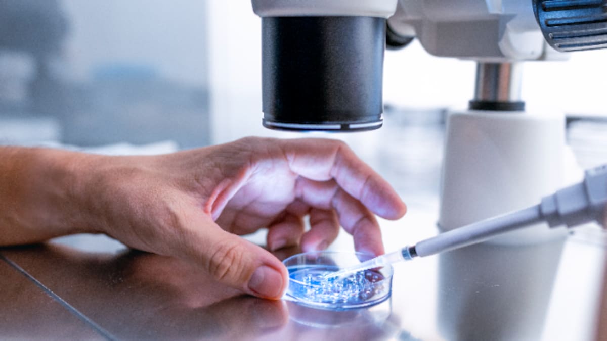 Un donante de esperma portador de un gen cancerígeno engendró casi 200 hijos, al menos 35 de ellos en España