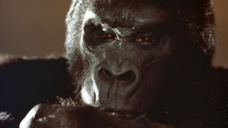 ¿Quién se escondía bajo la piel de King Kong? La historia que pocos conocen