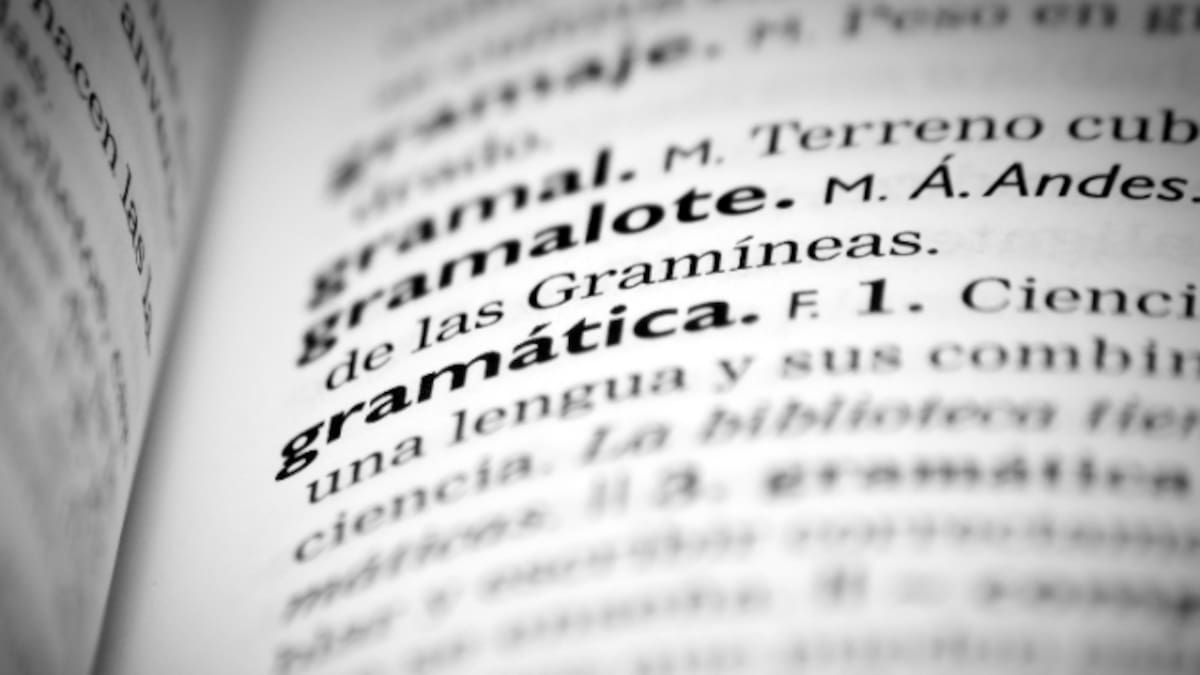 De la farlopa al "a veces despectivo" término mena: todas las nuevas palabras que incorpora la RAE este 2025