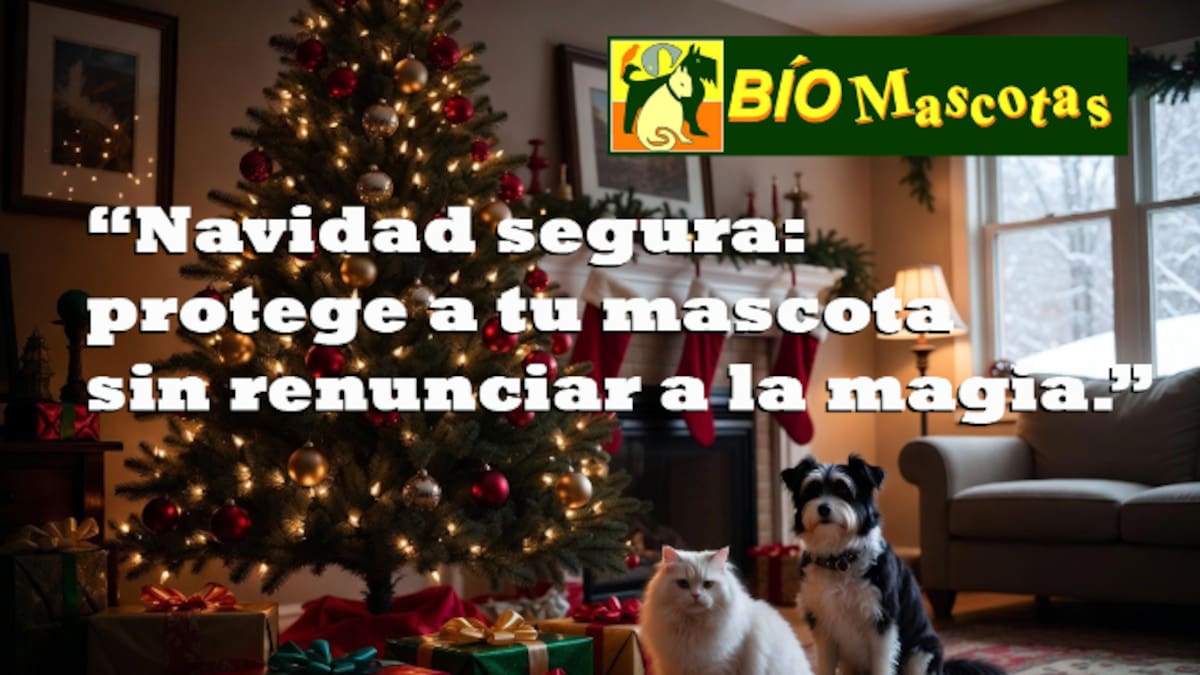 Consejos y recomendaciones para tener en cuenta con tus mascotas en Navidad