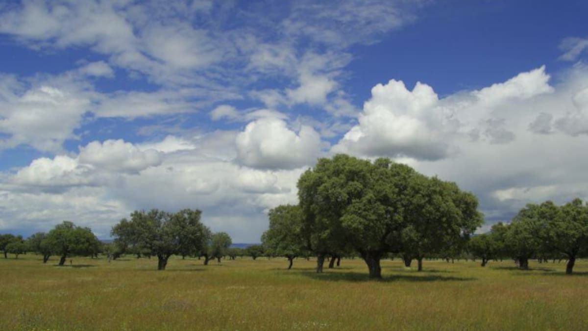 A Vivir Extremadura Sostenibilidad