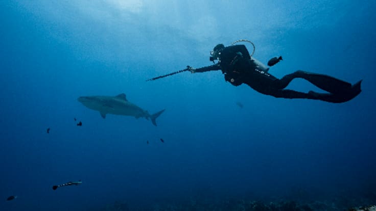 Cara a cara con el tiburón tigre: así fue la inmersión más salvaje de Mamen Mendizábal en las Maldivas