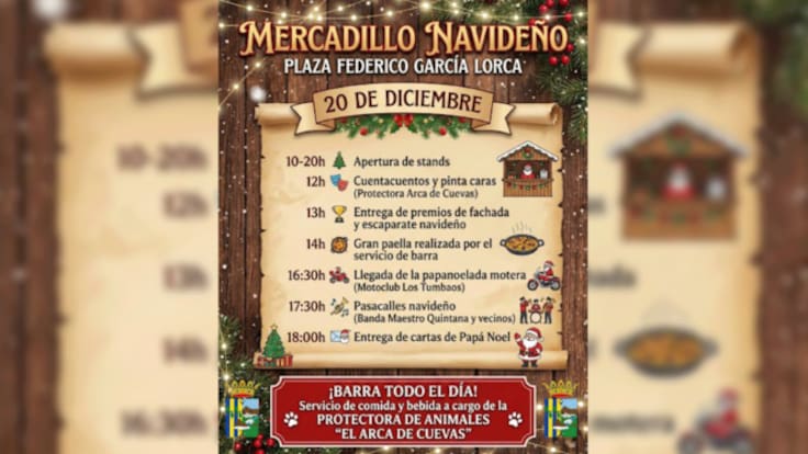Entrevista Julio Ríos. Mercadillo navideño Cuevas de San Marcos