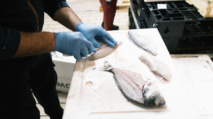 ¿Comes mucho pescado? Así puedes saber si tienes exceso de mercurio en el cuerpo