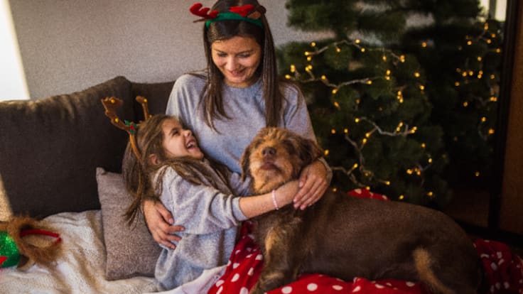 Entrevista a Teresa López, decana del Colegio de Veterinarios de la Región de Murcia