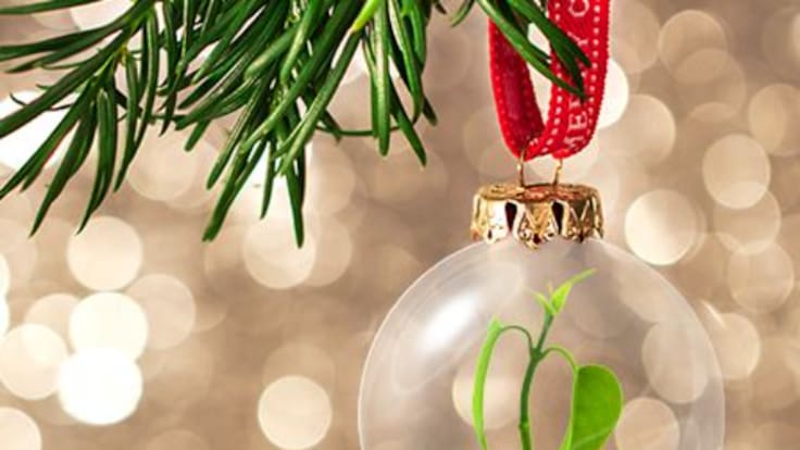 Recomendaciones para que la Navidad sea más sostenible