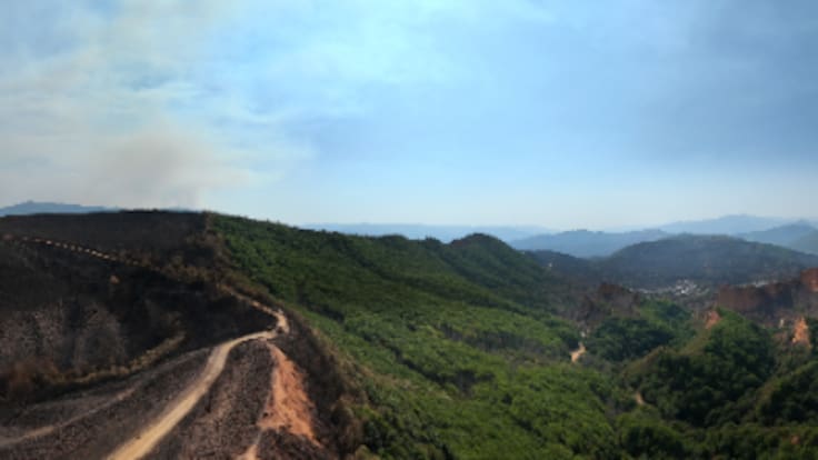 Un 2025 carbonizado como advertencia meteorológica (30/12/2025)