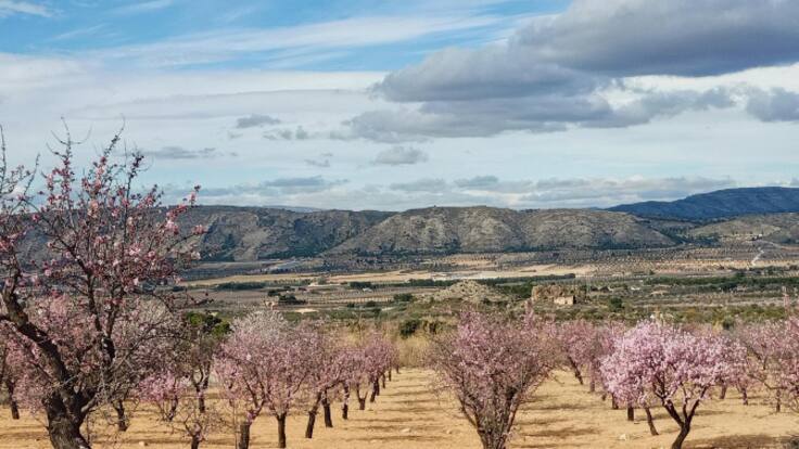 D. José Limorti, párroco, en Radio Villena SER