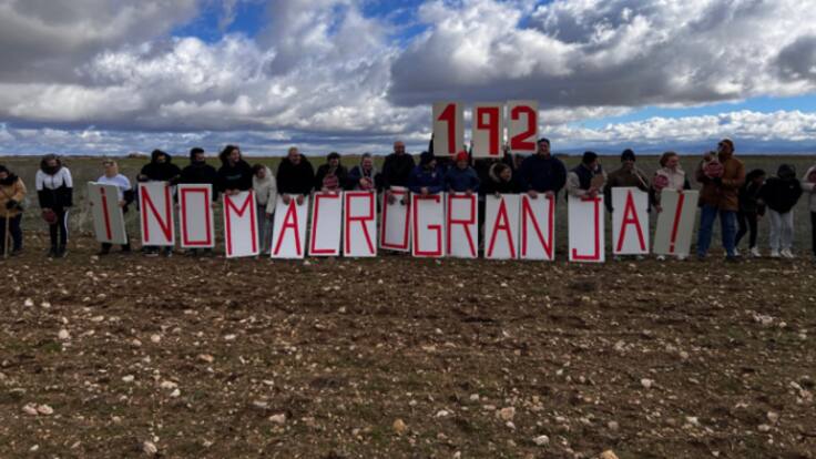 Macrogranjas y biogás: el problema que ya es realidad en la Ribera del Duero
