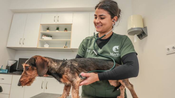 Entrevista| Mayte Carbonell, veterinaria