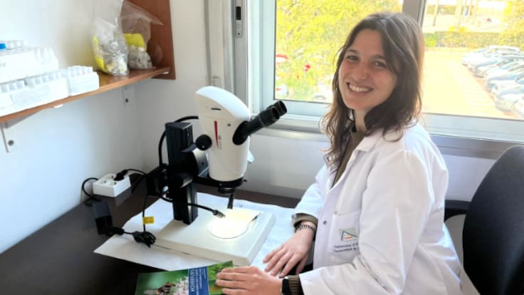 Entrevista| Andrea Aracil, investigadora moscas sírfidos