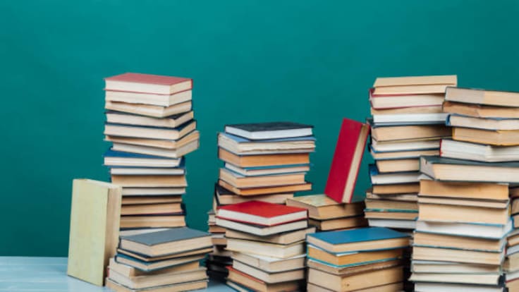 ENTREVISTA. Clara Queraltó i Gerard Guix